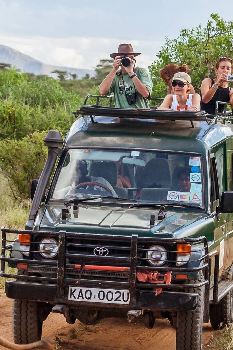 Killer Safari artwork