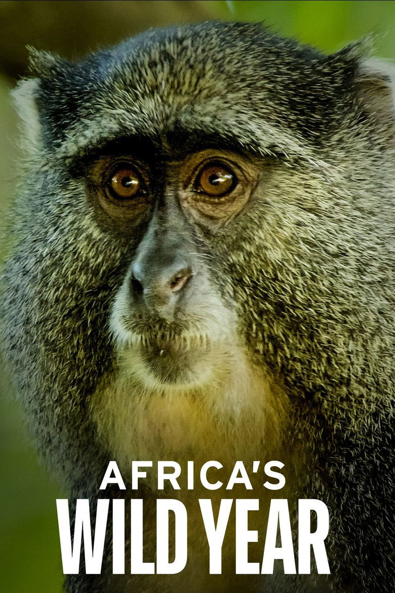 Africa's Wild Year artwork