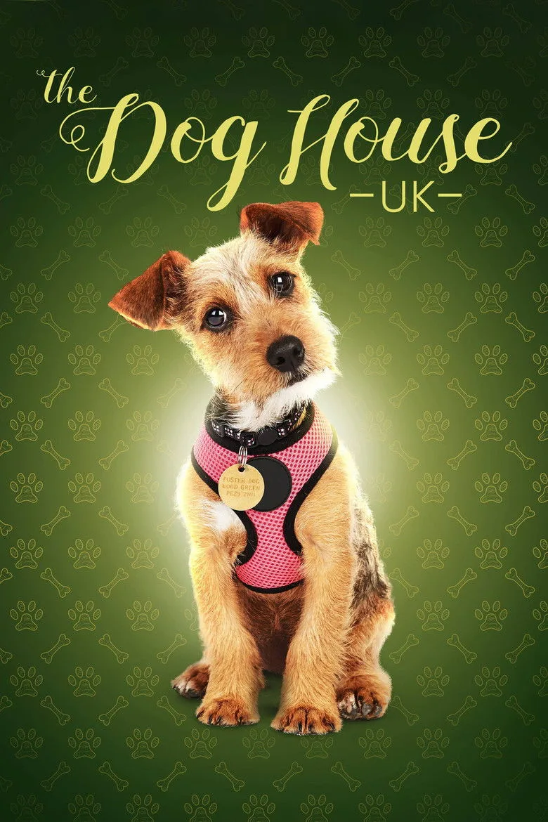 The Dog House artwork