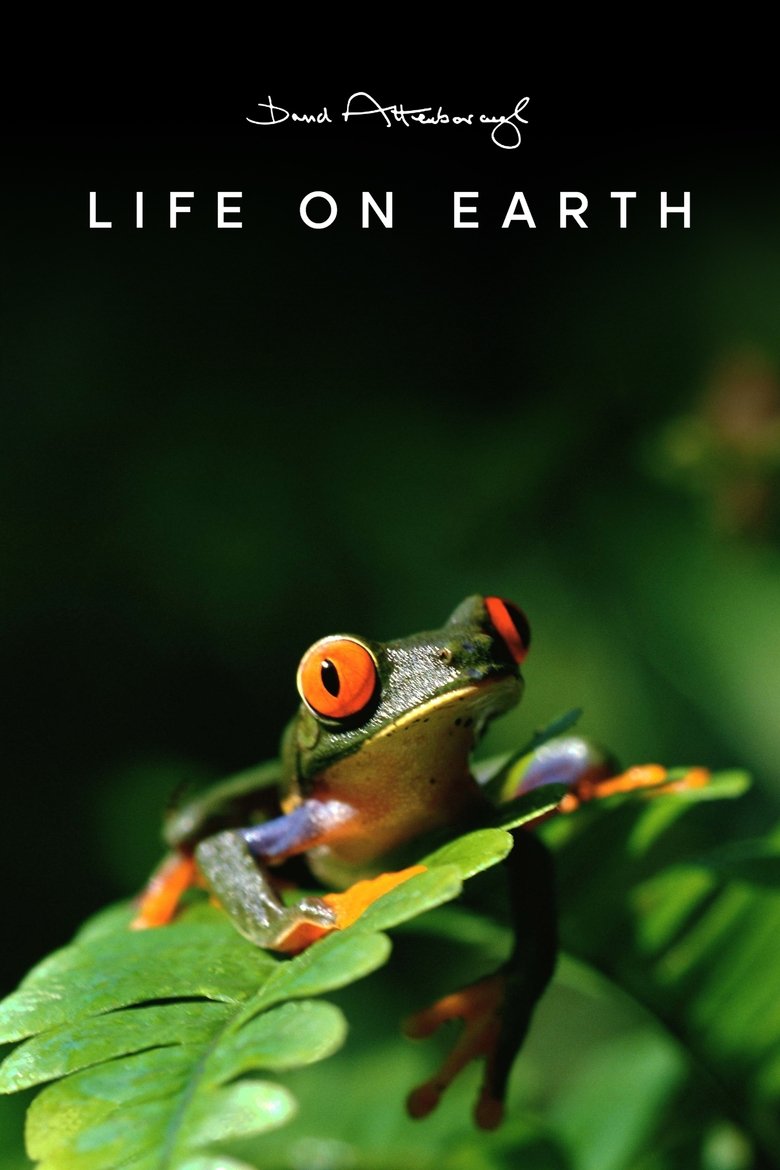Life on Earth artwork