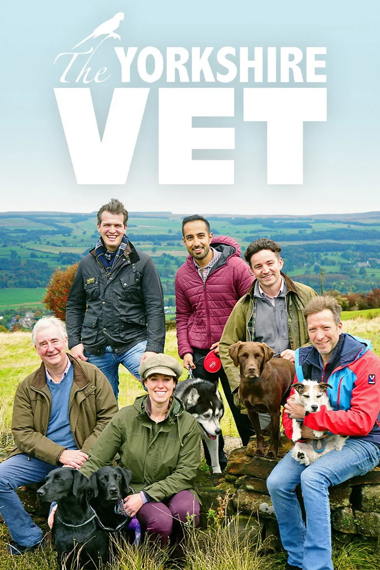 The Yorkshire Vet artwork