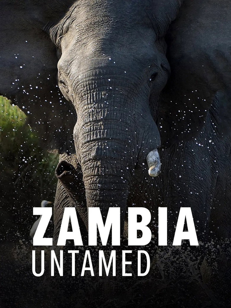 Zambia Untamed artwork