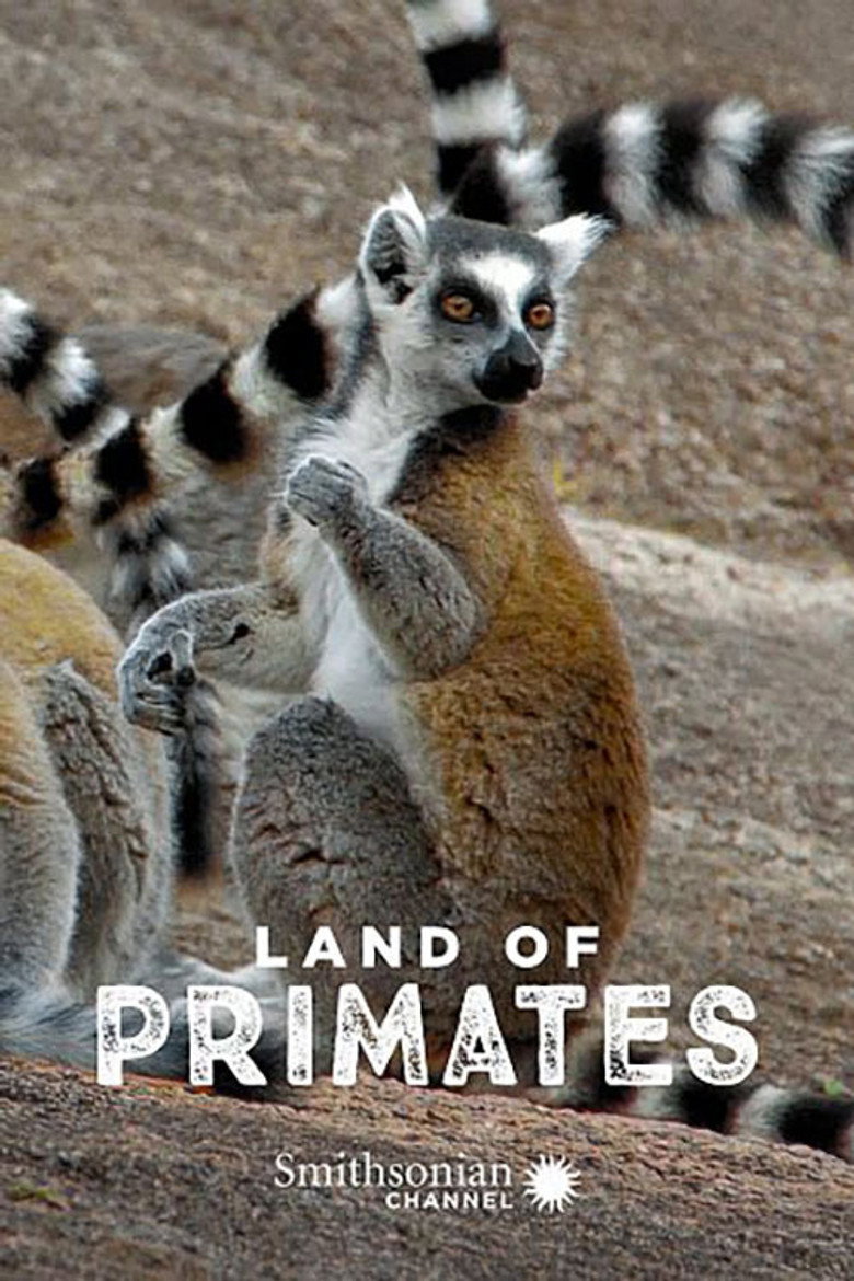 Land of Primates artwork