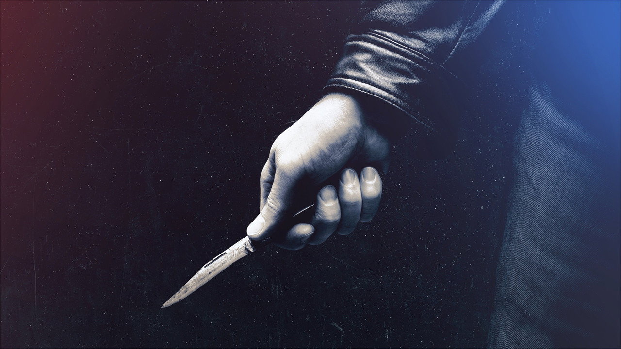 I Survived A Crime artwork