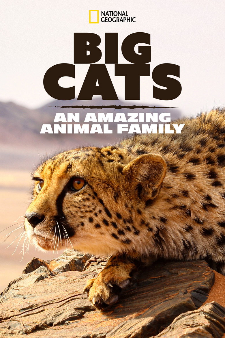 Big Cats An Amazing Animal Family artwork