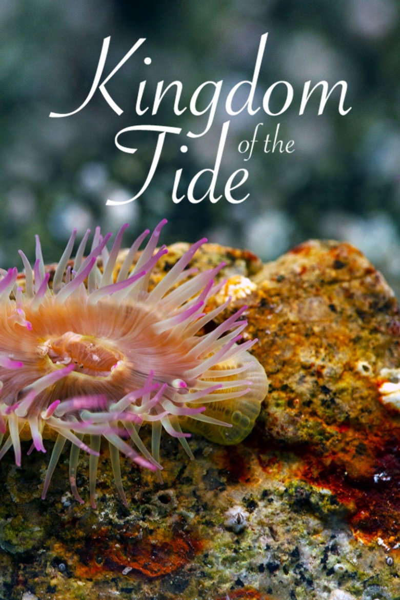 Kingdom of the Tide artwork