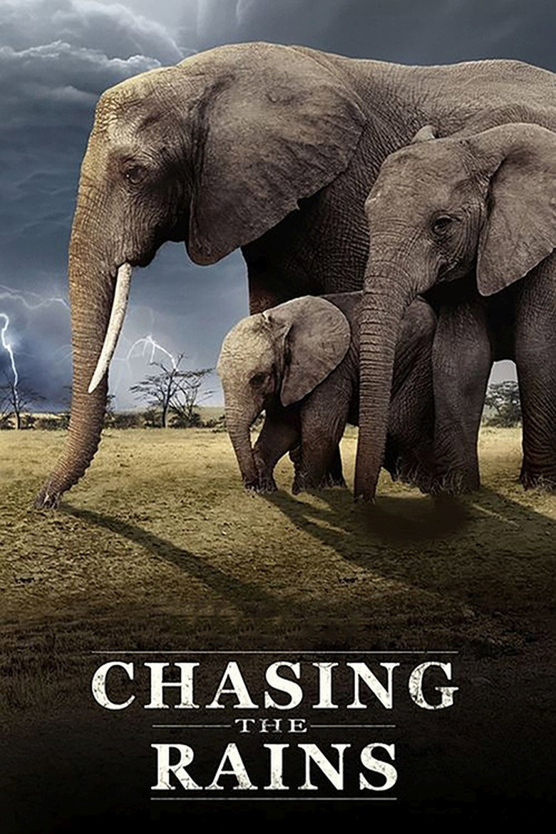 Chasing The Rains artwork