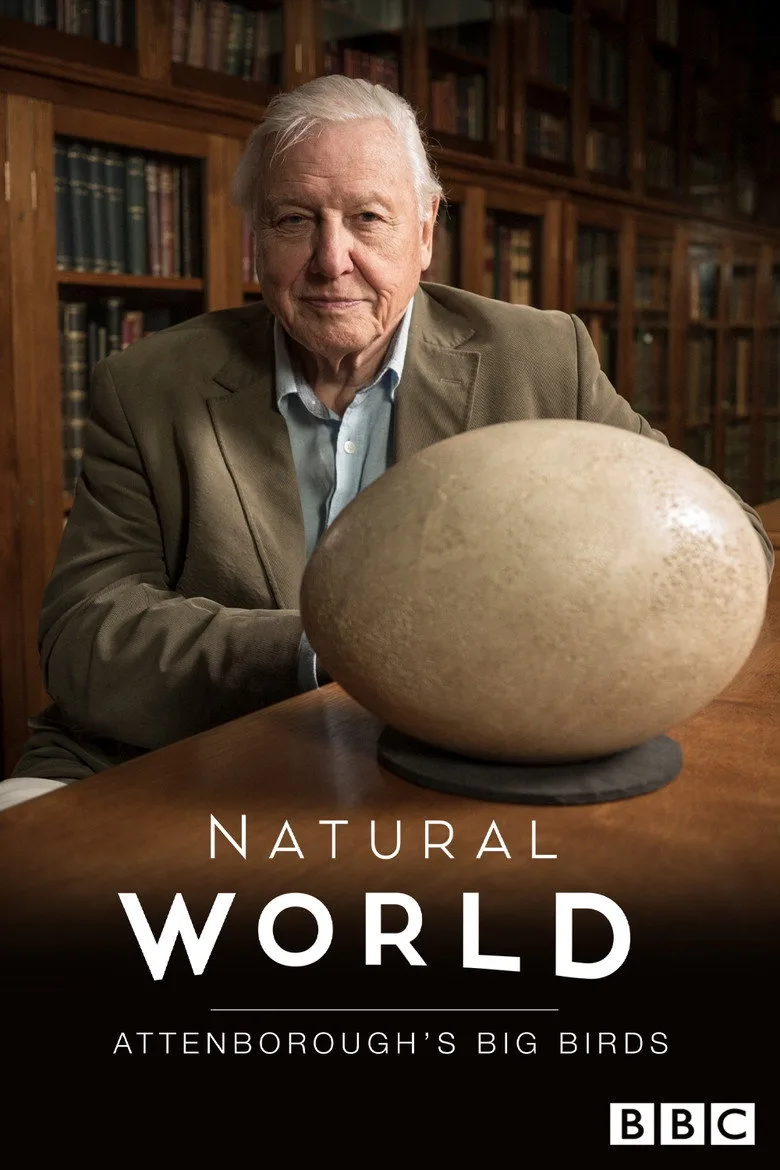 Attenborough's Big Birds artwork