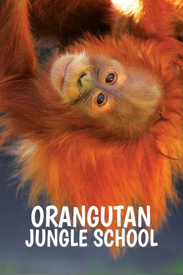 Orangutan Jungle School artwork