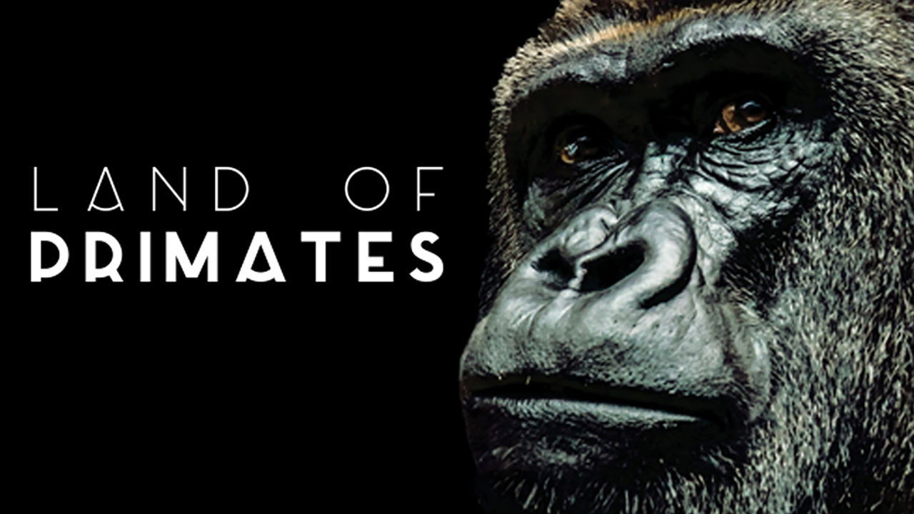 Land of Primates artwork