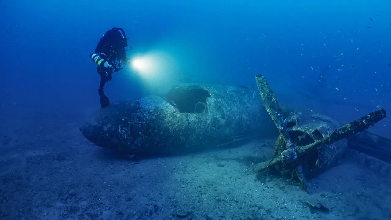Shipwrecks: When History Resurfaces artwork