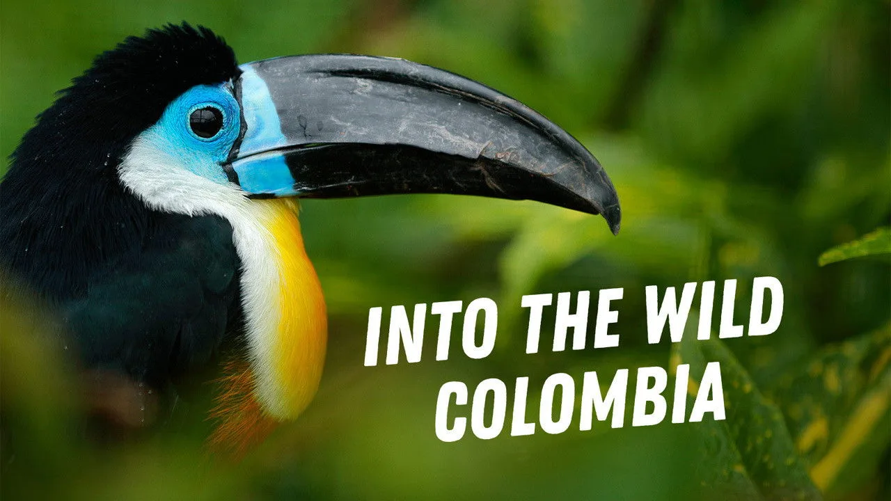Into the Wild: Colombia artwork