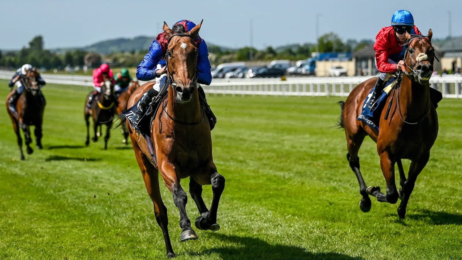 Live Racing artwork