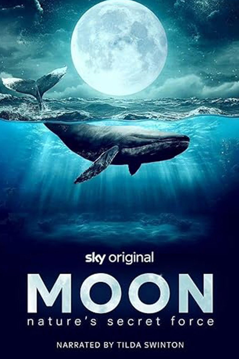Moon: Nature's Secret Force artwork
