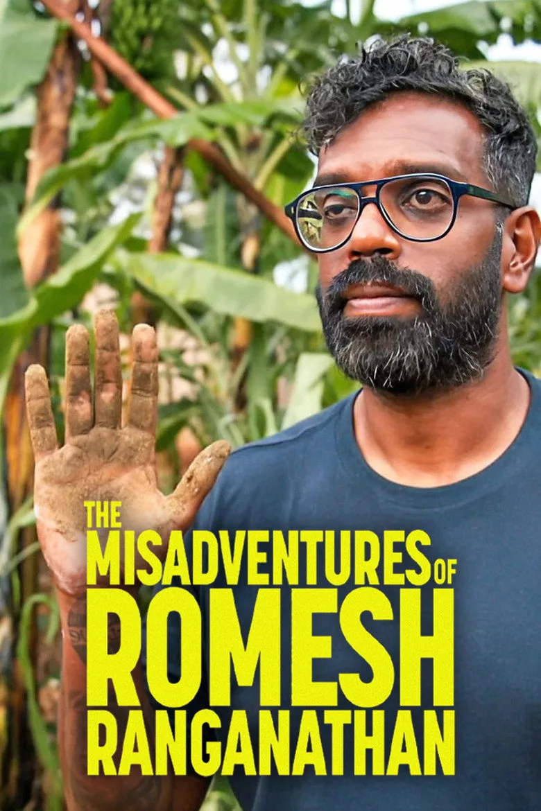 The Misadventures of Romesh Ranganathan artwork
