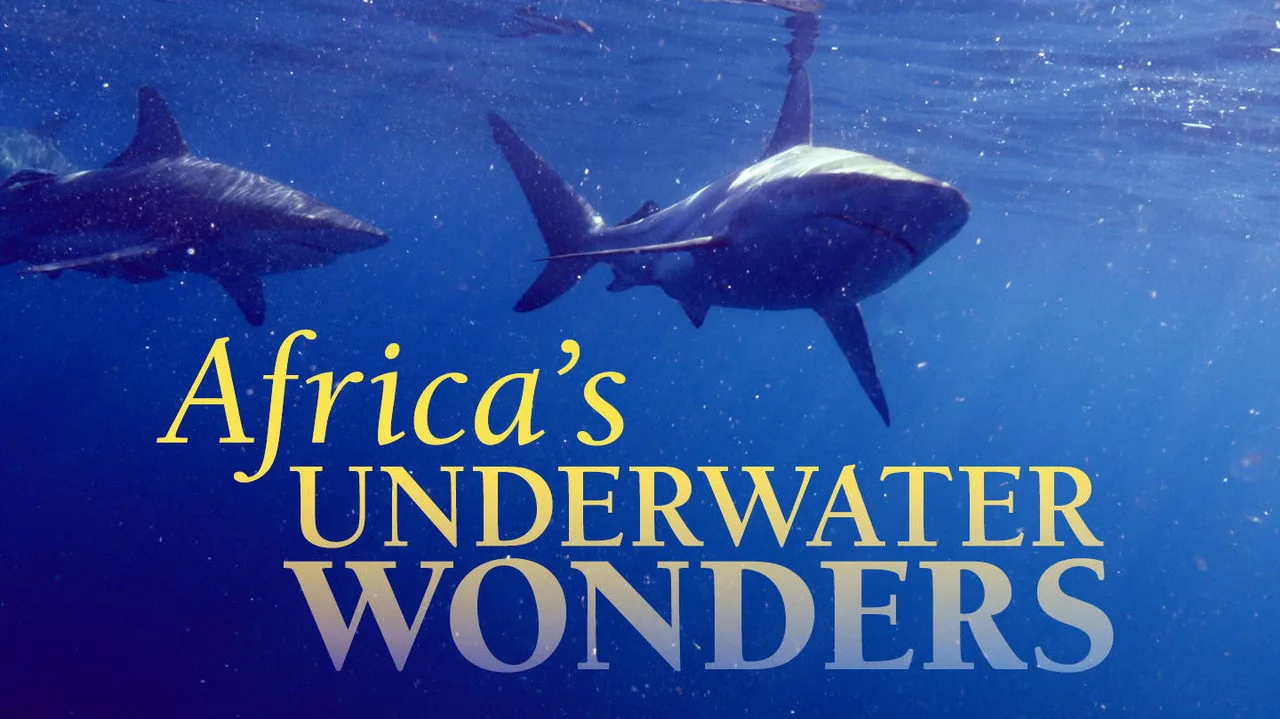 Africa's Underwater Wonders artwork