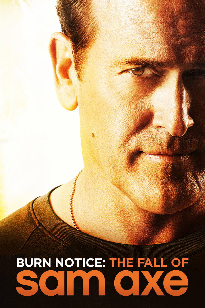 Burn Notice artwork