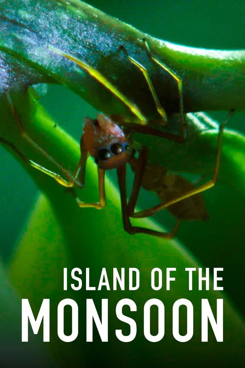 Island of the Monsoon artwork