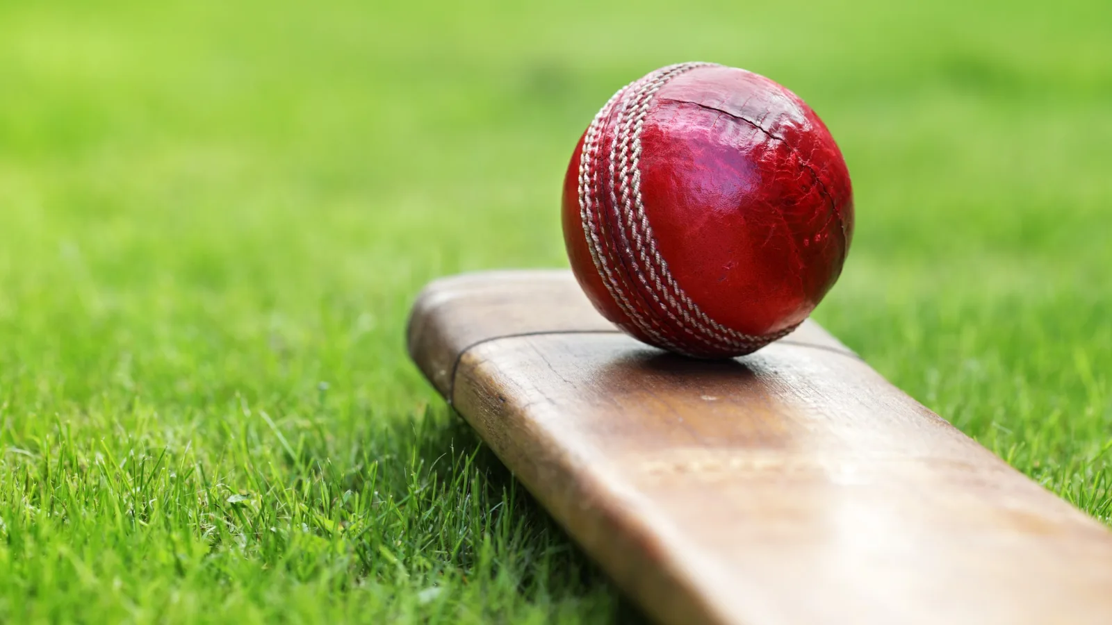 2nd Test D4: ENG v PAK Highlights artwork