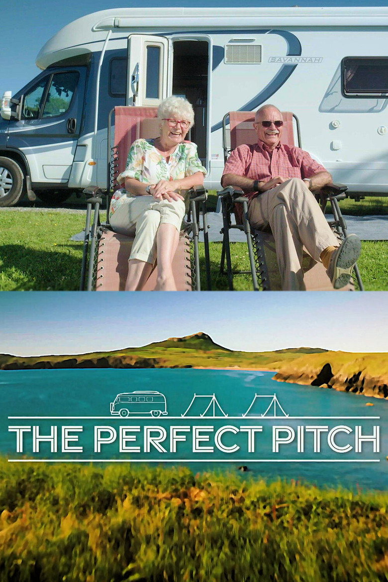 The Perfect Pitch artwork